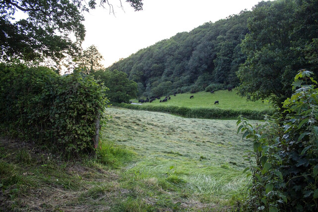 Hay field