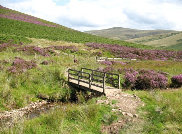 Bridge over Wiley Gill