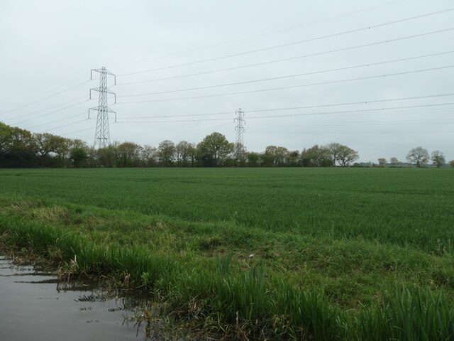 Cereal field under the power lines, near Tuppenhurst