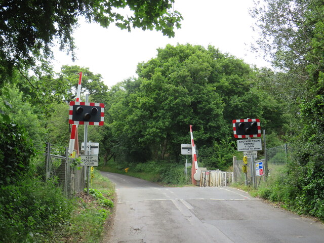 Level crossing at Brook, near Guildford