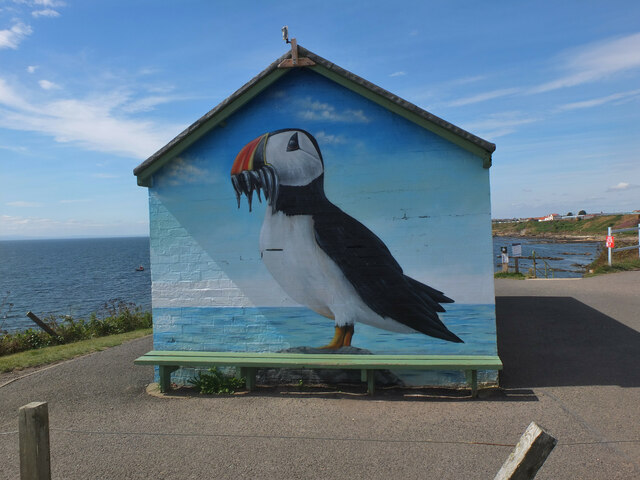 Puffin mural, Pittenweem