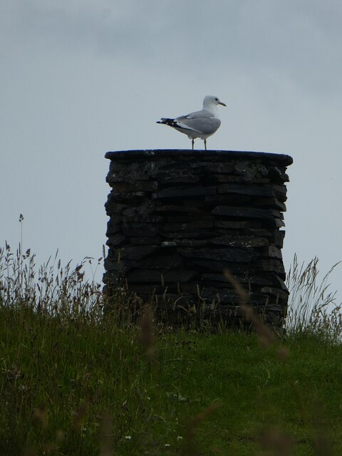 Easdale - Toposcope and gull