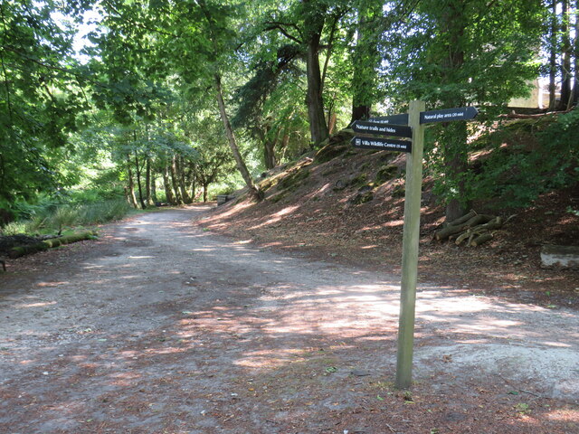 Path junction on Brownsea Island