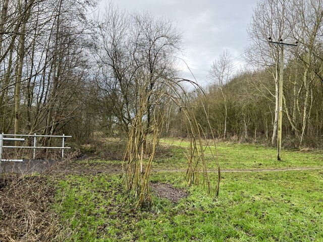 Arch in Leddy's Field