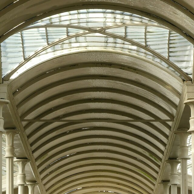 Camellia house roof, Wollaton Hall -2