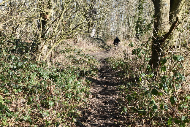 Footpath, Oxon Hoath Park