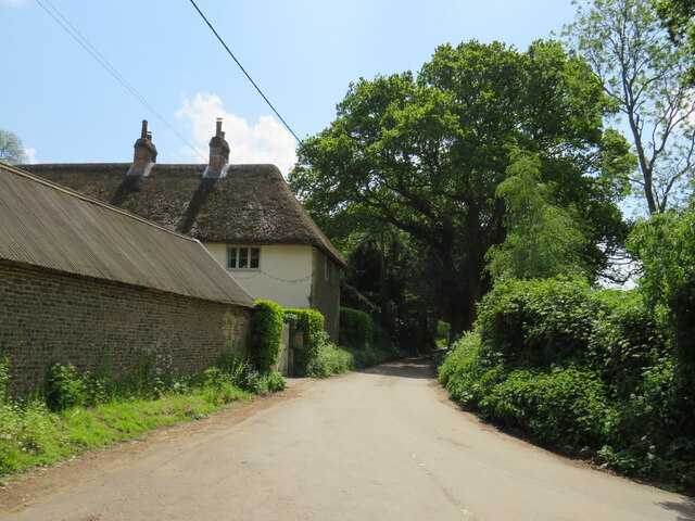 Brewells Lane, near Liss