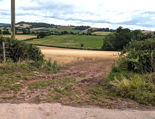 Mid July 2023 in rural Herefordshire