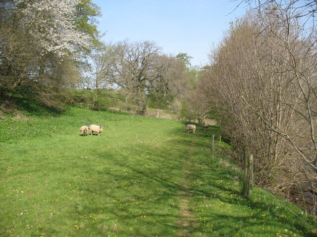 The Cumbria Way near Bellbridge