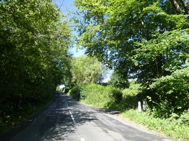 Minor road to Broadwindsor