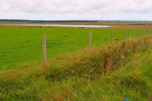 Loch of Wester from the South