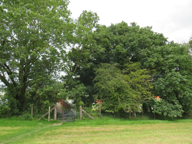 Cross Britain Way, Bala