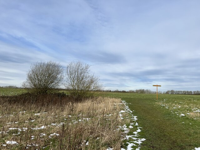 Plateau on Silverdale Country Park