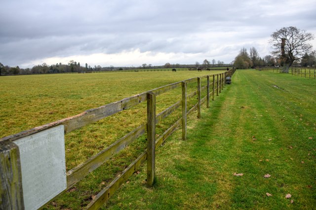 Shipton Moyne : Grassy Field