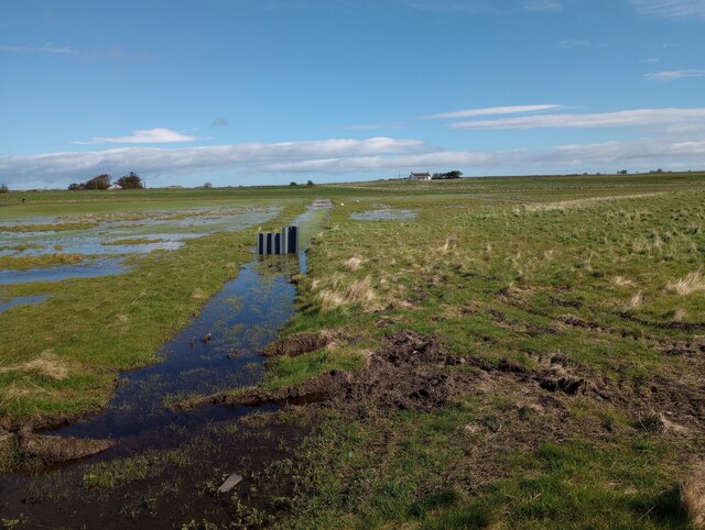 Ditch: Holy Island