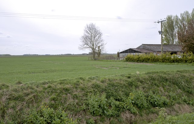 Fenland farming