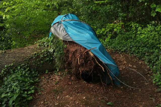 Errant Tent, Chapel Hill Pleasure Grounds