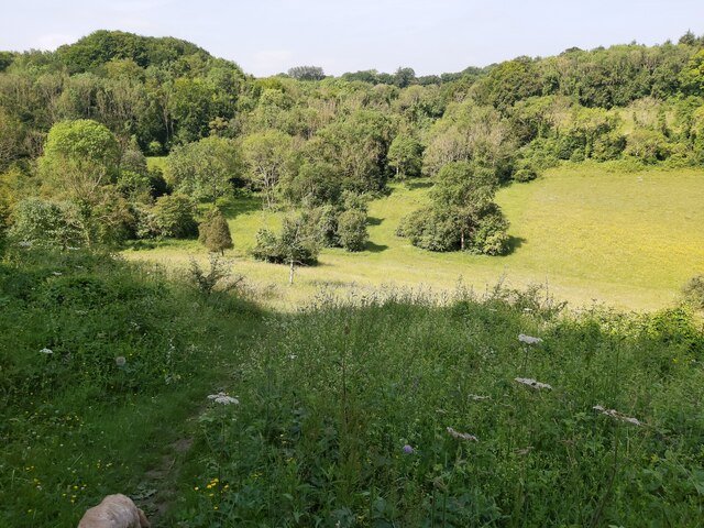 Grassland on Eastdown