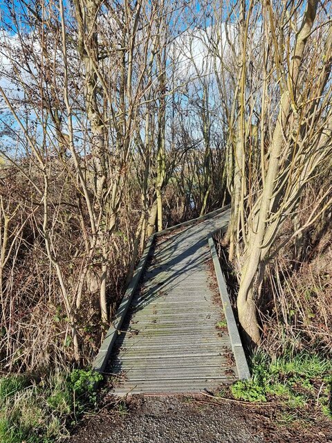 Boardwalk at RSPB Saltholme Bird Reserve