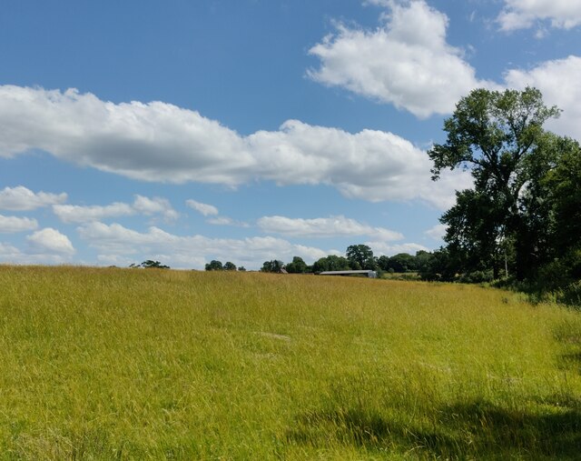 Grassland near Newhouse Farm