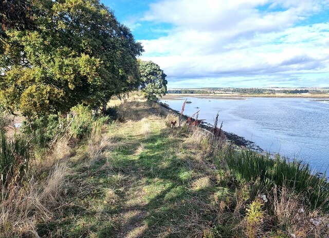 Seawall at the western end of the Montrose Basin