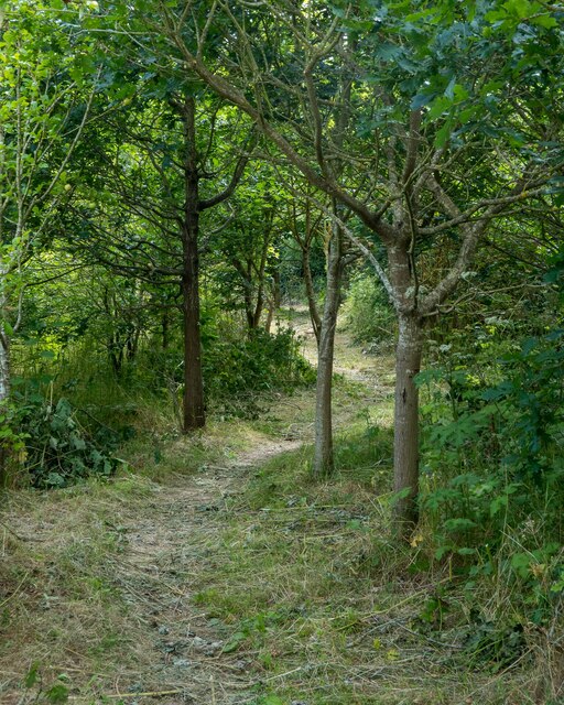 Footpath through Tuker's Holt, Twitty Fee