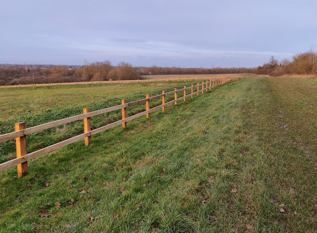 Grassland near the Great Central Way in Glen Parva