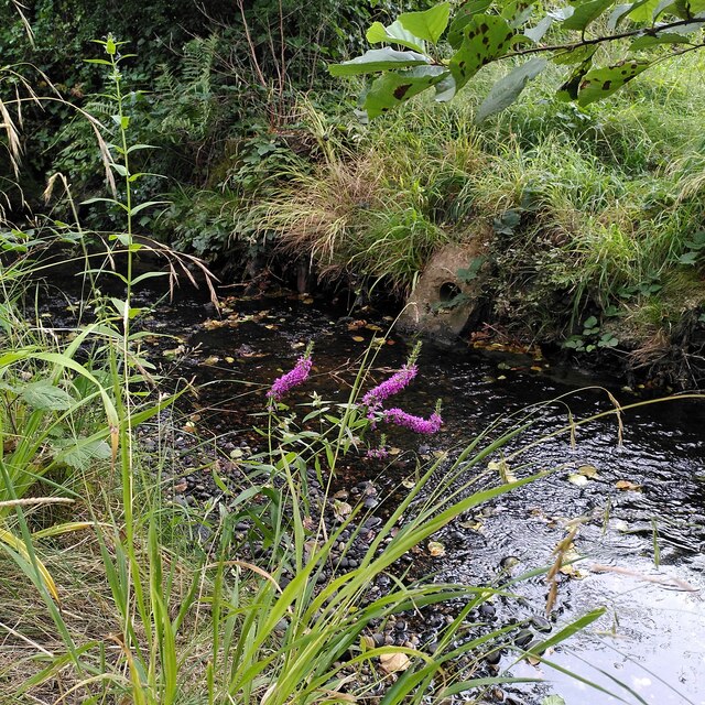 Hatchford Brook restoration, Elmdon Park