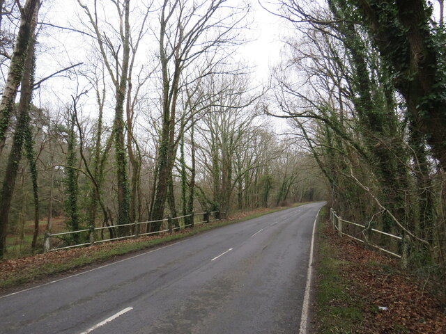 Road on former railway near Burley