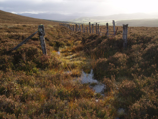 Gateway on Old Track