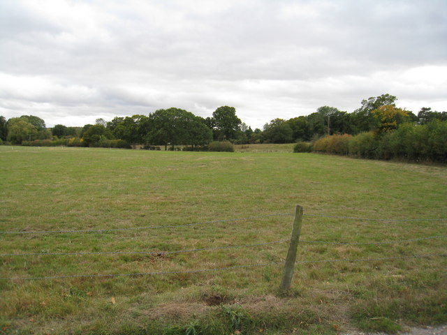 Well managed grazing land