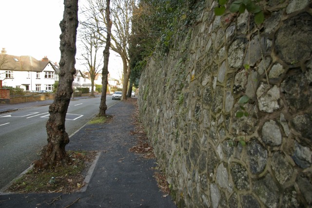 Wall alongside Upland Road, Selly Park