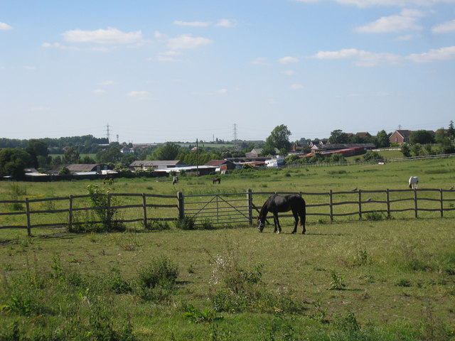 Paddocks at Mussenden Farm