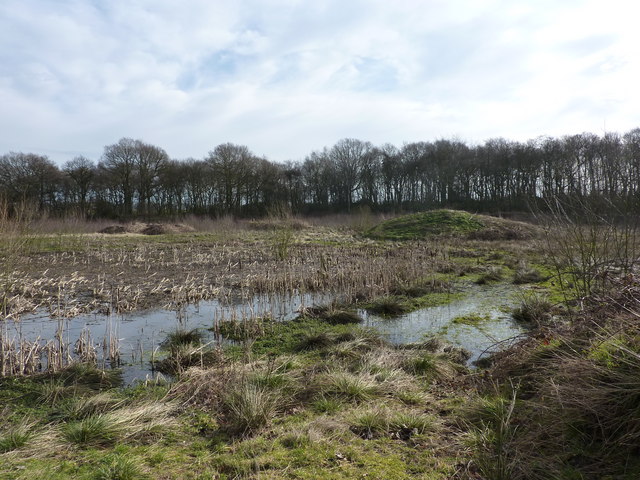 Pond, silted up