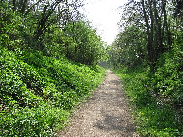 Chard Branch