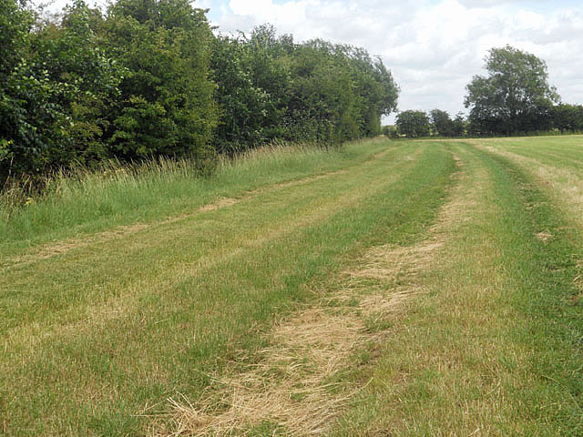 The Thames Path - near Sterts Farm