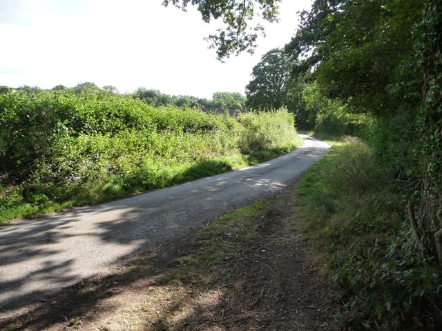 Squirrel Lane