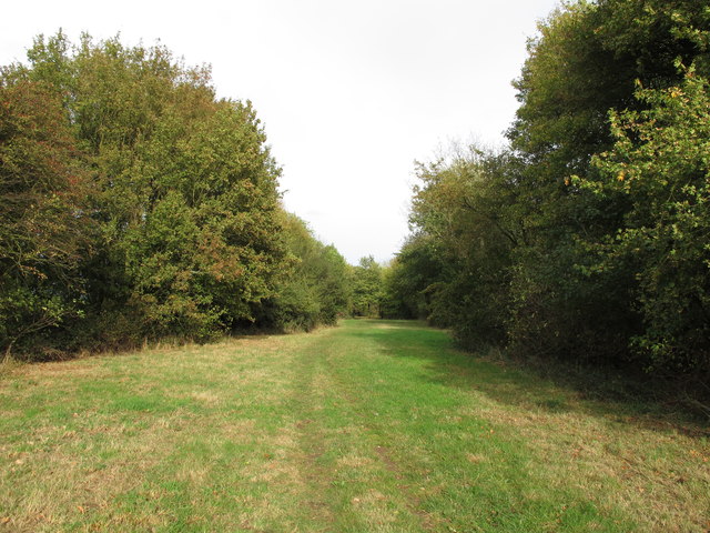 Southern end of Epping Long Green