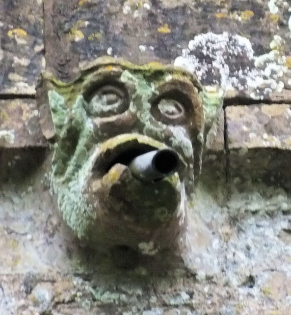 Gargoyle (3)