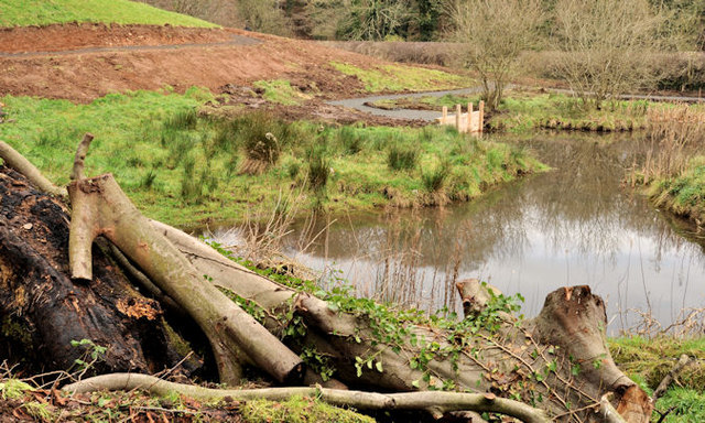 Pond, Minnowburn, Belfast (5)