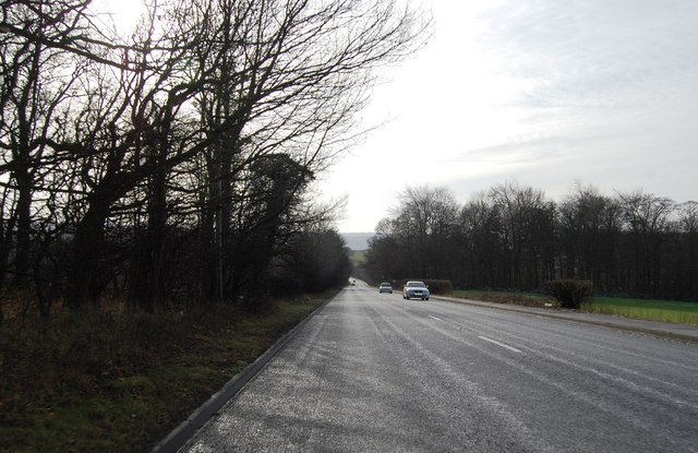 Denby Dale Road approaching Bentley Spring woods