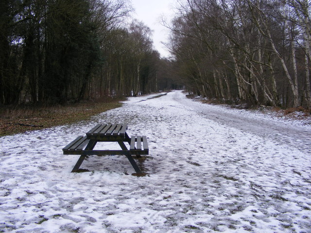 Himley Bench