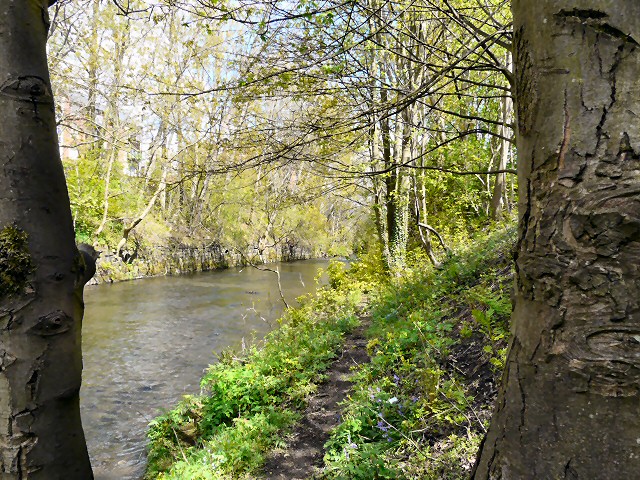 River Tame