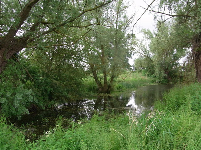 Pond between Rayer's Hill and Deerhurst