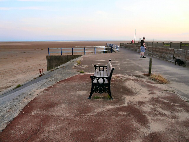 Edna Hutchinson's Bench