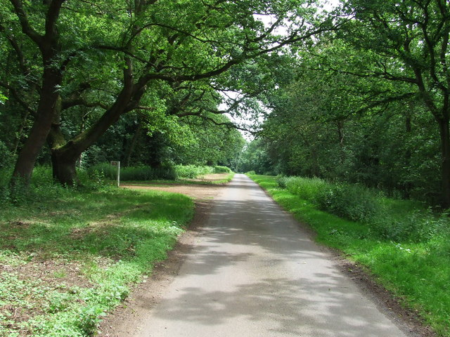 Country Lane