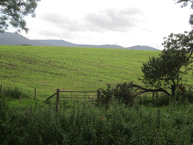 Field, Crathienaird