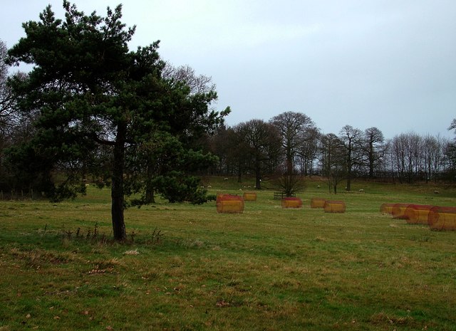 Parkland with round bale sculptures