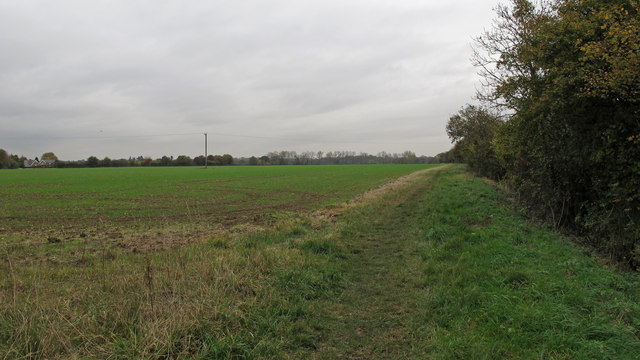 Footpath along arable field