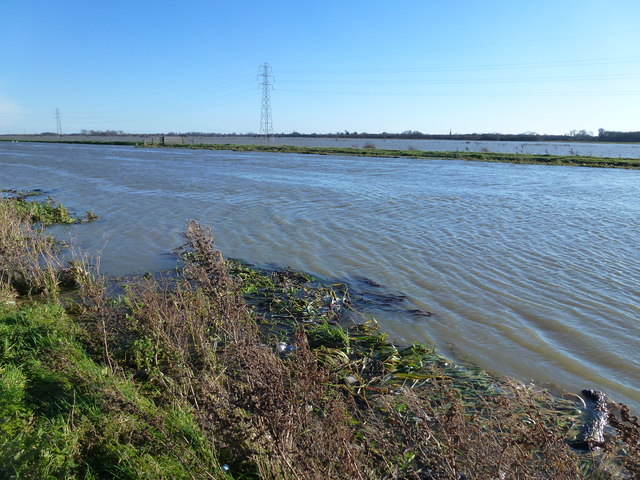 On the bank of the swollen River Nene - The Nene Washes